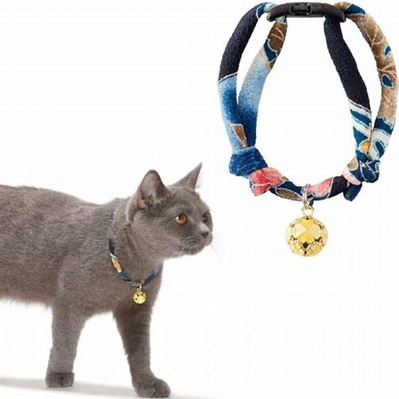 What collars are most comfortable for cats? DIY Seattle