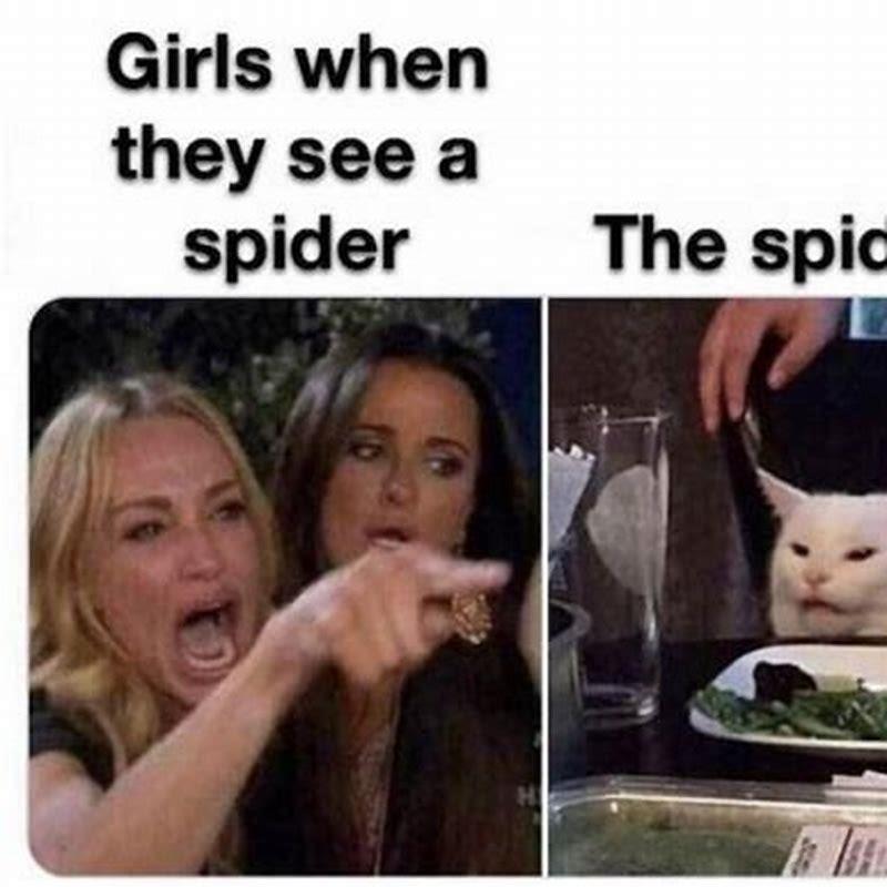 What do they say about cat ladies?