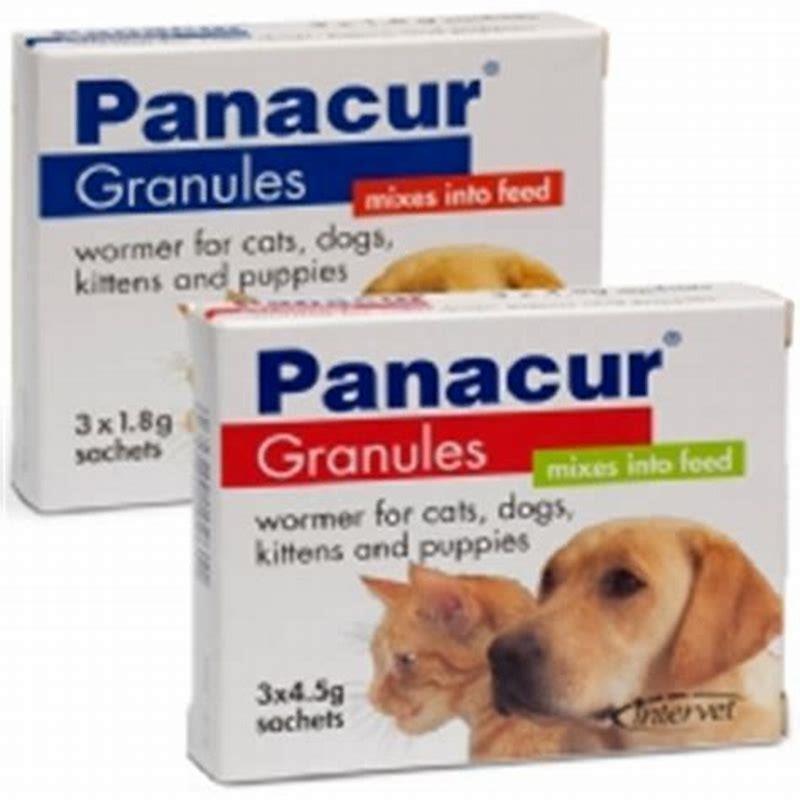 What does Panacur do for cats?