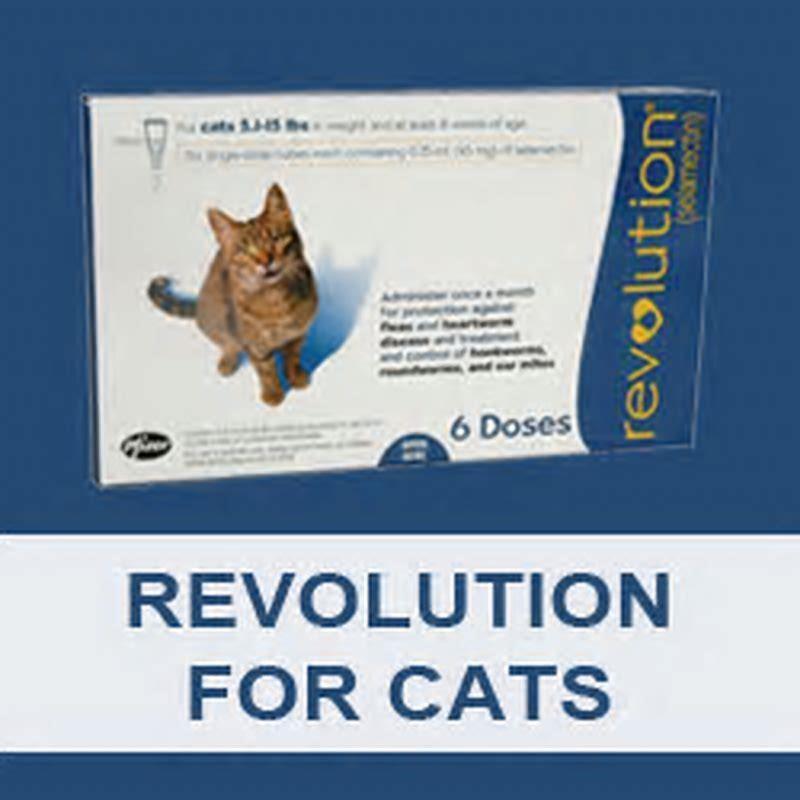 Is Revolution Plus Safe For Cats