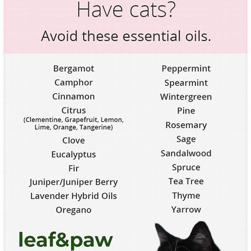 what-essential-oils-are-bad-to-diffuse-around-cats-diy-seattle