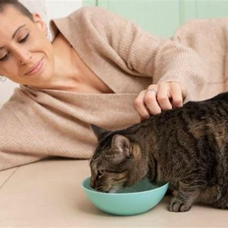What Greens Can Cats Not Eat DIY Seattle