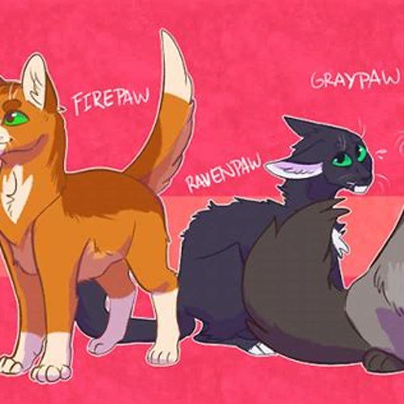 What happens if a cat doesnt have a tail?