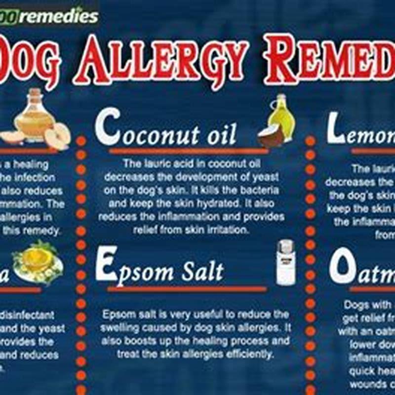 What herbs are cats allergic to?