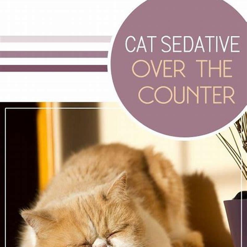 What is a natural sedative for cats? - DIY Seattle