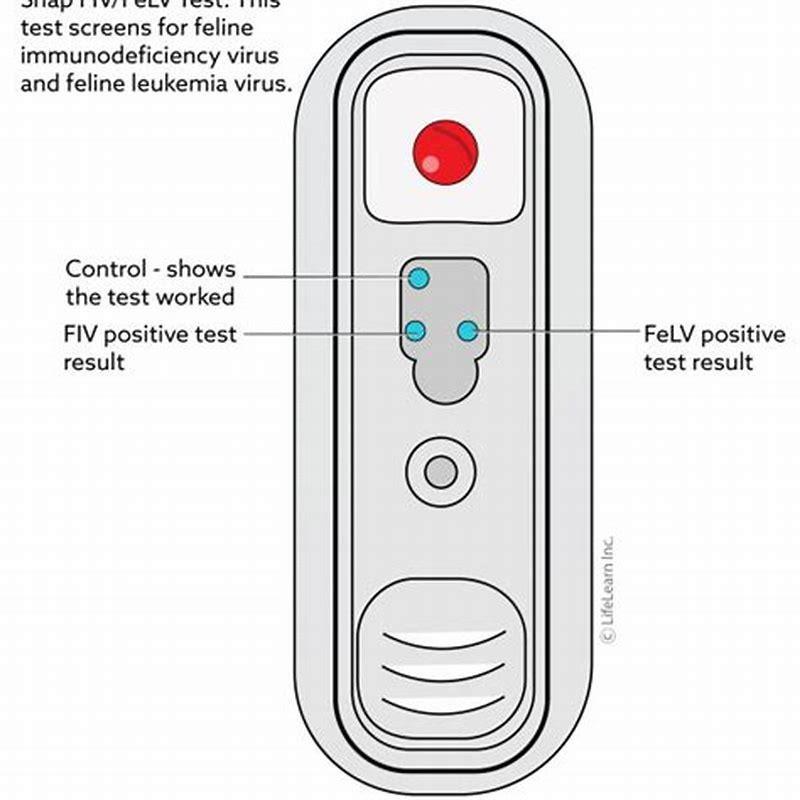 What Does A Snap Test Check For In Cats