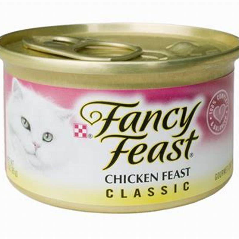 What Is The Healthiest Cat Food For Cats DIY Seattle