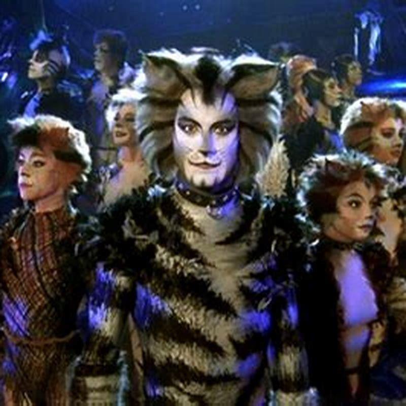 What Is The Meaning Of Jellicle Cats DIY Seattle