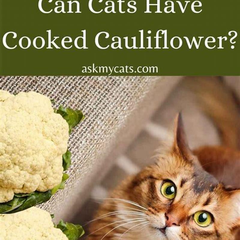 what-kind-of-veggies-can-cats-eat-diy-seattle