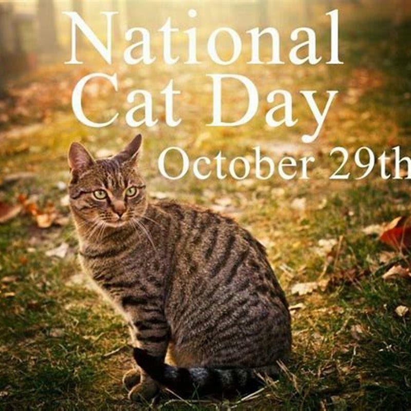 What National day is Cat Day? DIY Seattle