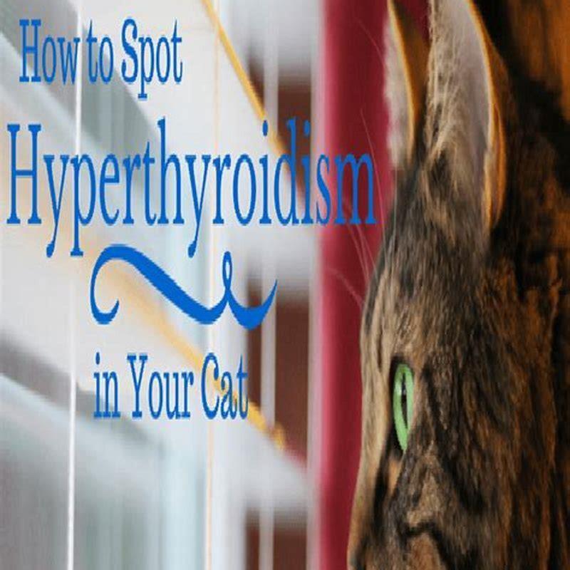 what-triggers-hyperthyroidism-in-cats-diy-seattle