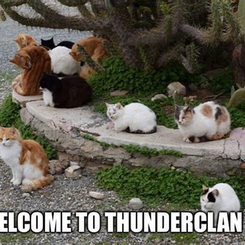Who is the oldest ThunderClan cat?