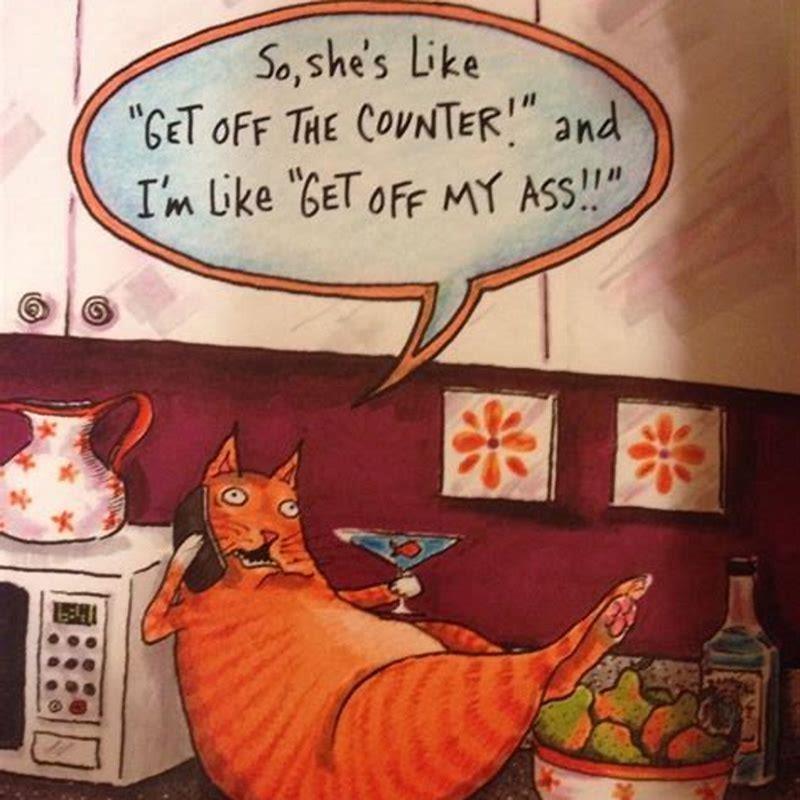 Why do cats herd?