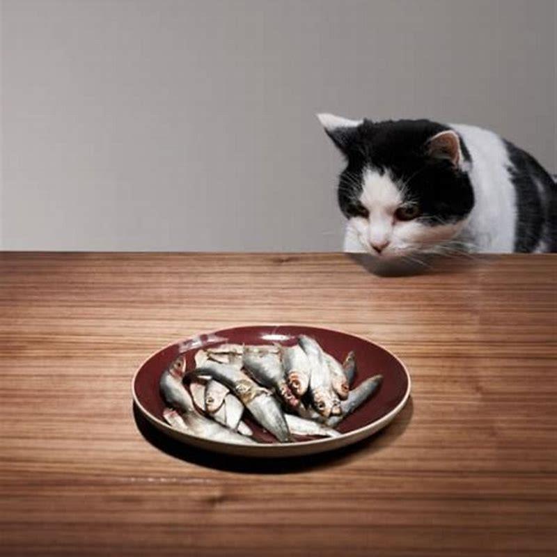 Why do cats like fish if they hate water?