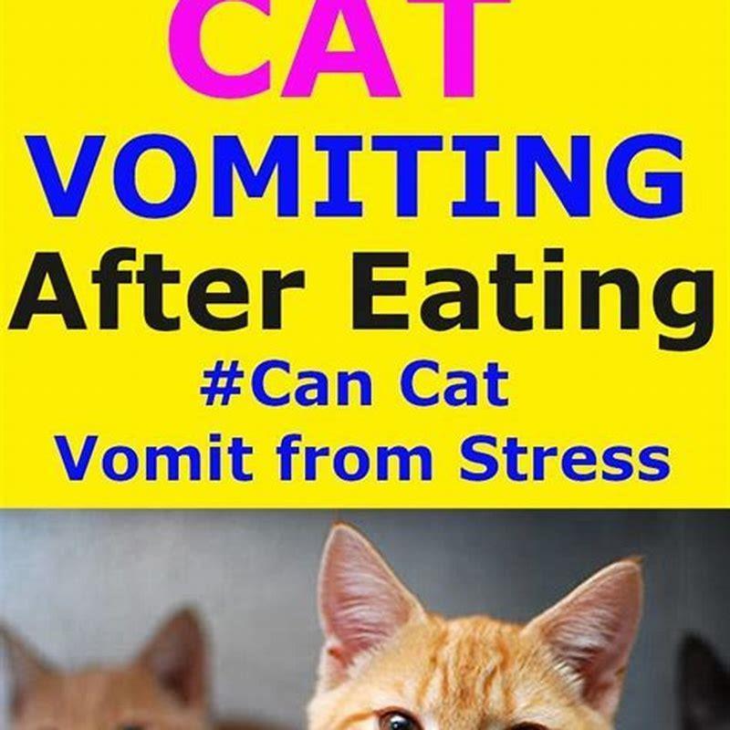 Why does my cat eat my other cats vomit?