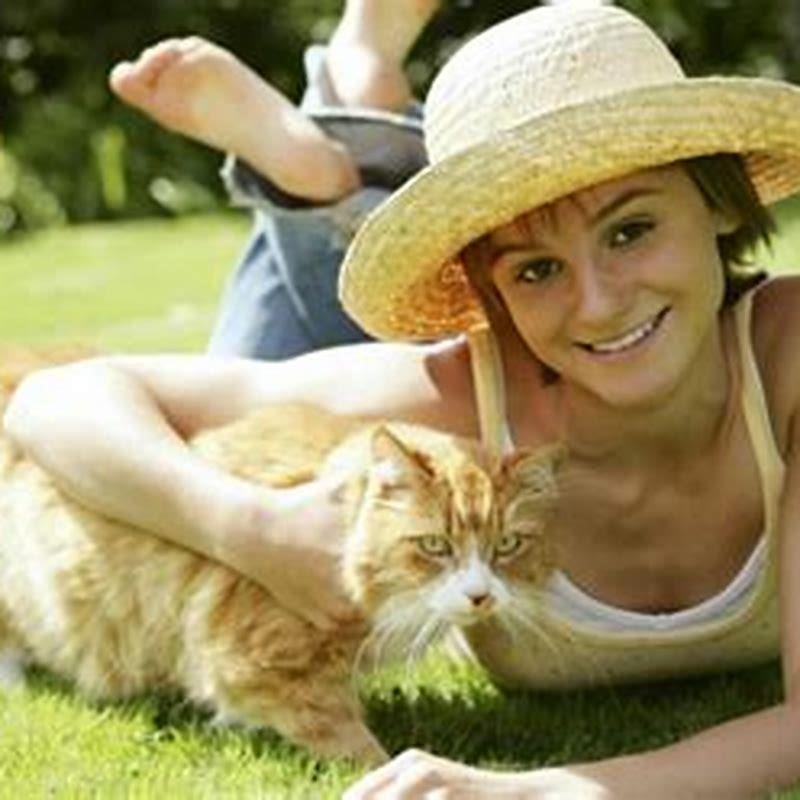 Why does my cat put his nose in my mouth?