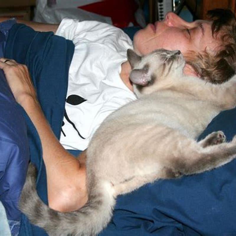 Why does my dog straddle my cat?