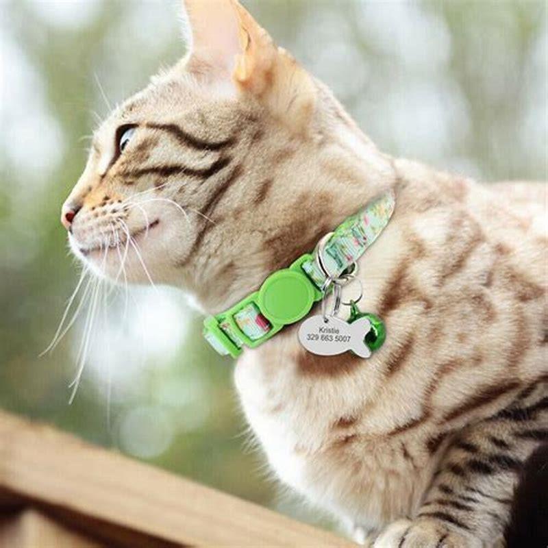best breakaway cat collar that stays fastened