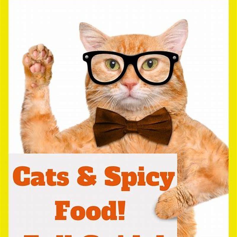 are-spices-harmful-to-cats-diy-seattle