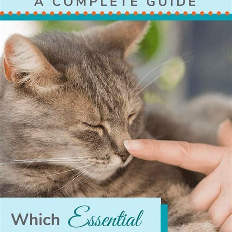 Can I clean with essential oils if I have a cat?