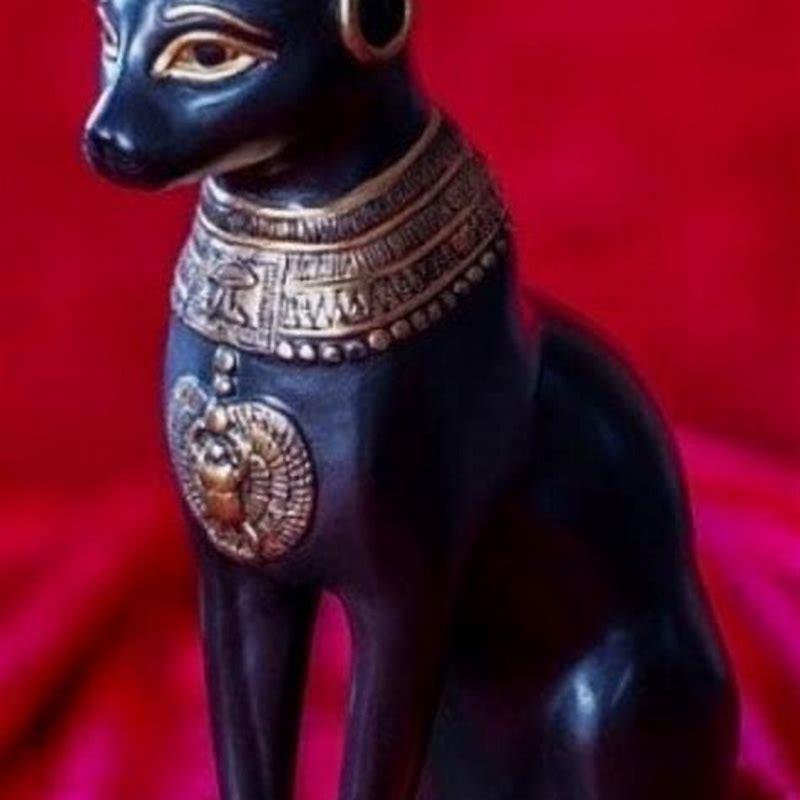 Did cats used to be worshipped?