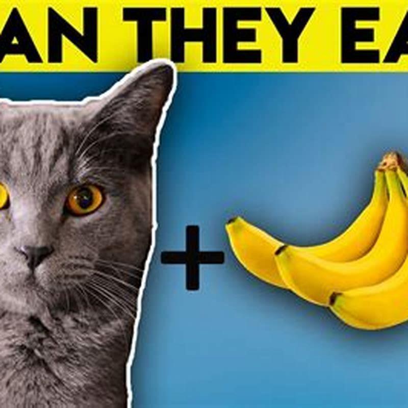 Do bananas keep cats away?