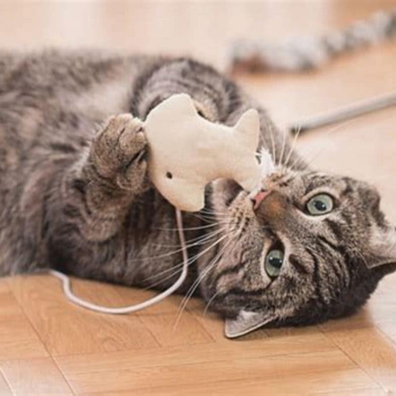 Do cats bring gifts for other cats?