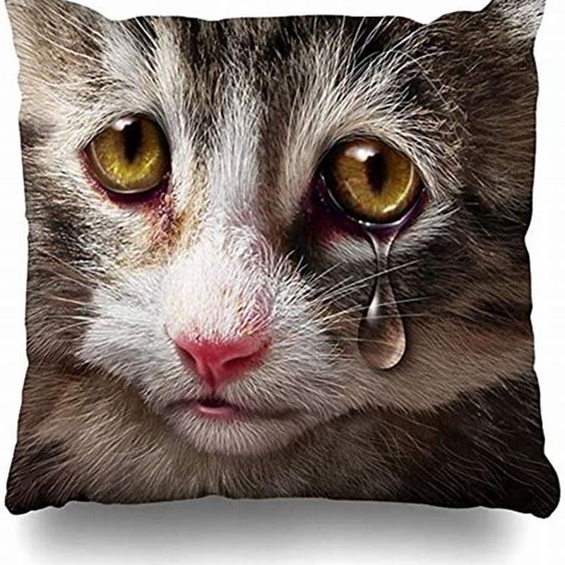 Do cats cry tears when happy?