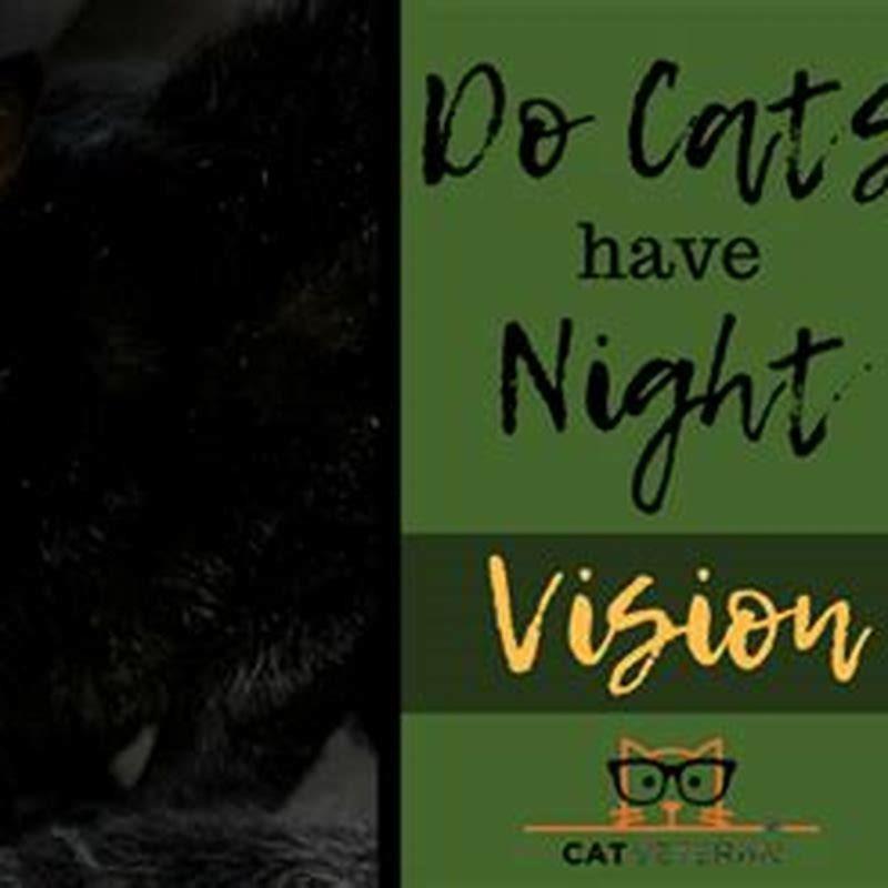 Do cats have good eyesight at night?
