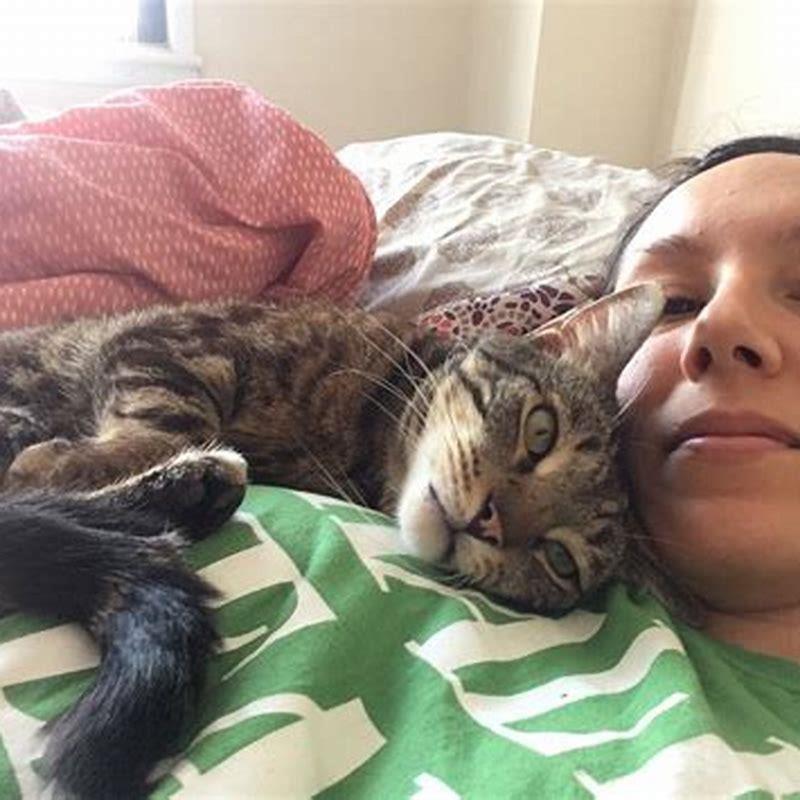 Does a cat trust you if it sleeps next to you?