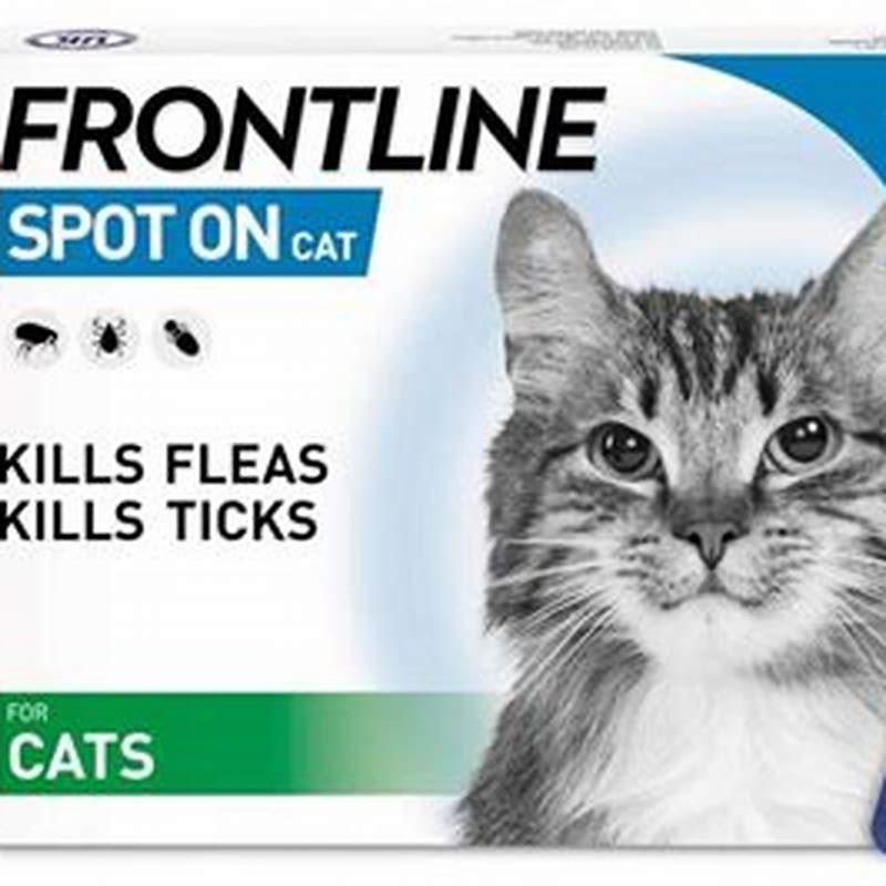Does flea treatment still work if on fur?