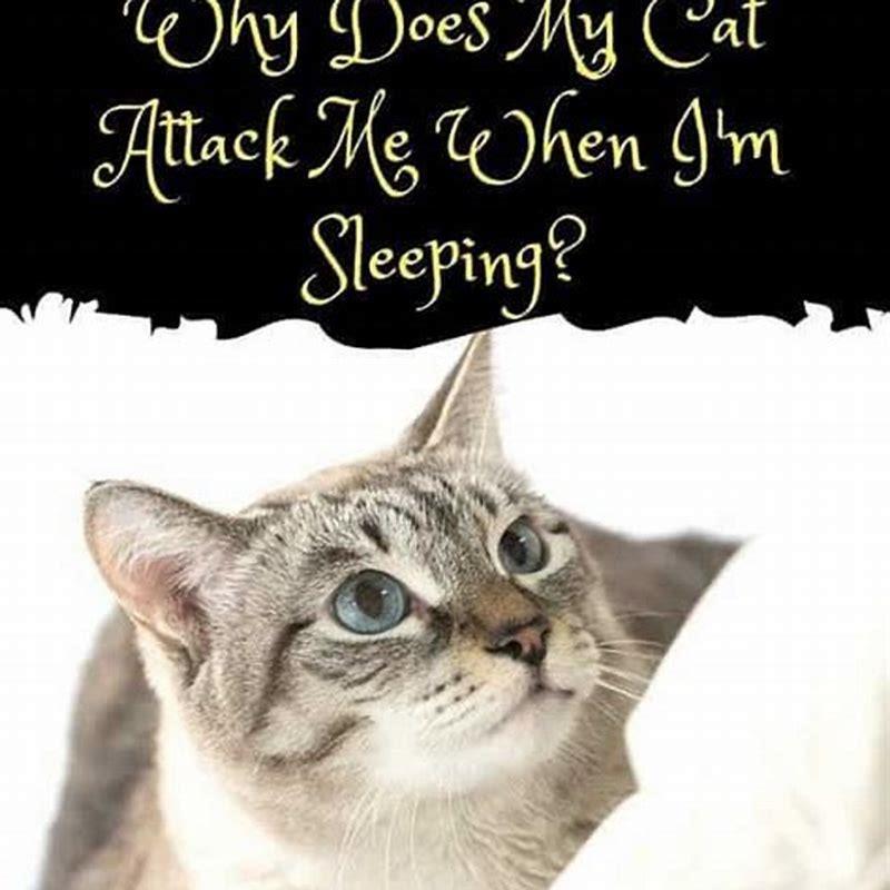 Does my cat think im dead when im asleep?