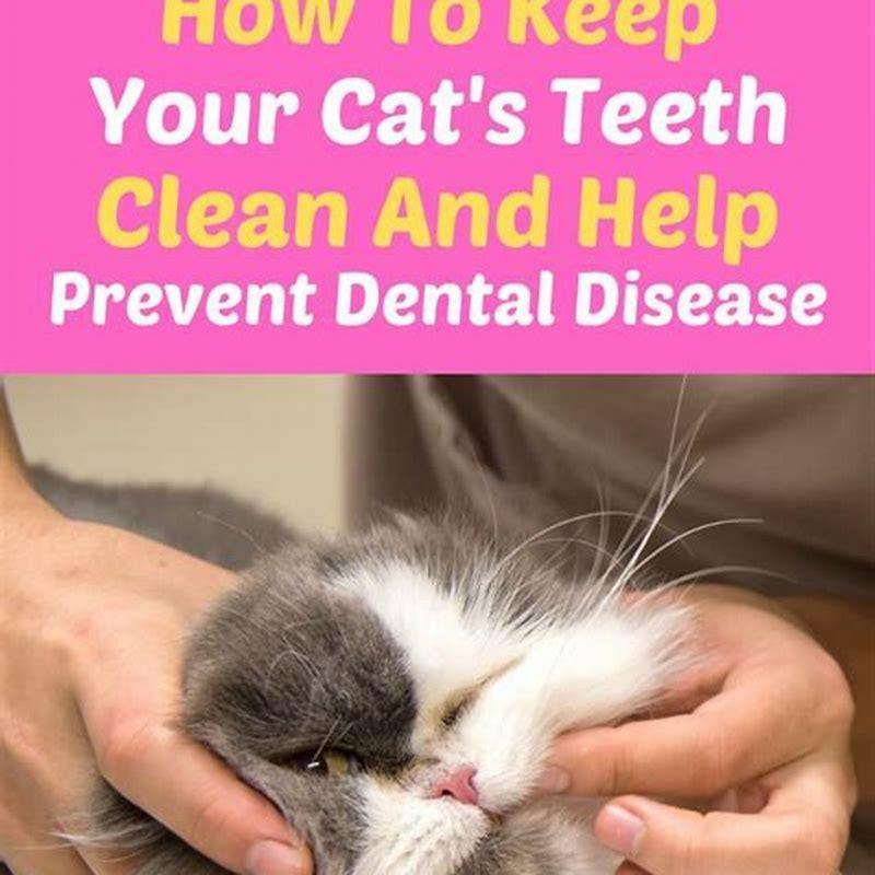 How can I prevent my cat from getting dental problems?