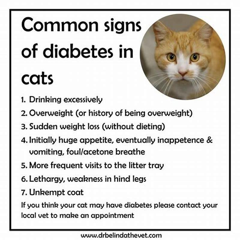 How can you tell if a cat has diabetes?