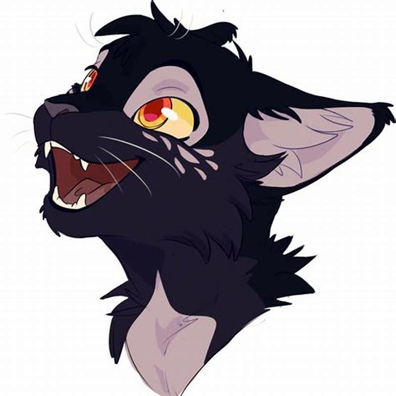 How do you draw a warrior cat head?