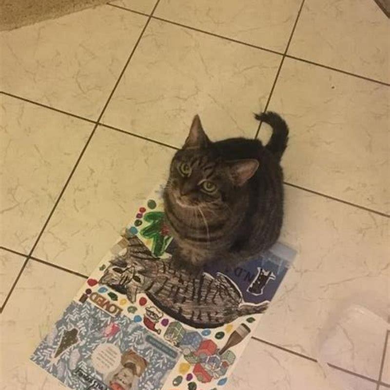 How do you make a pussy cat?