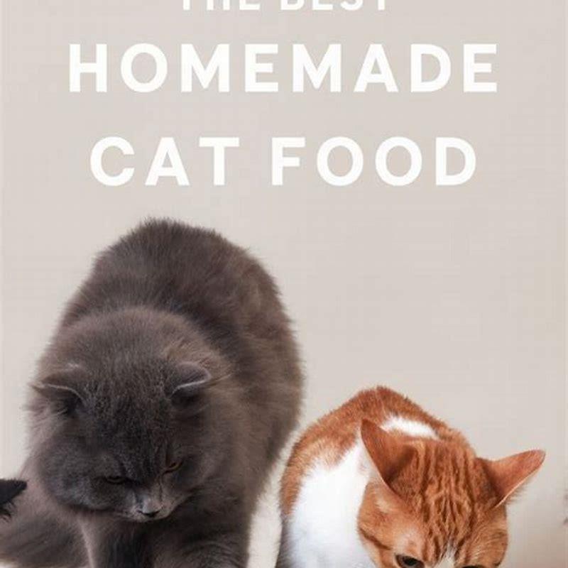 How do you make homemade cat food?