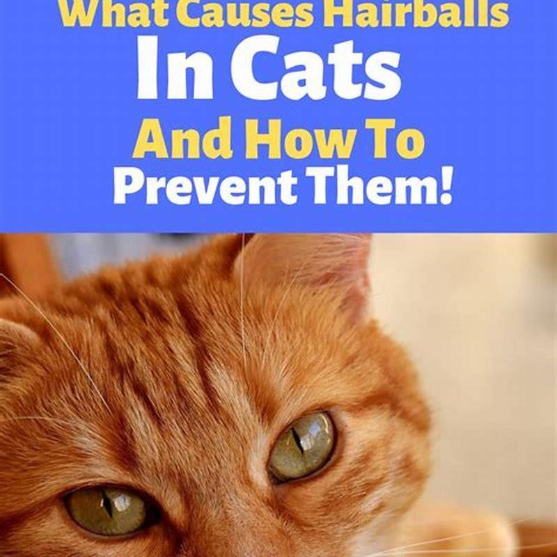 how-do-you-prevent-hairballs-in-cats-diy-seattle