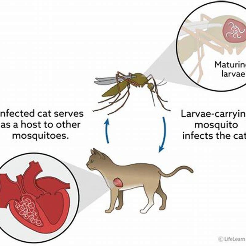 How do you prevent heartworms in cats?