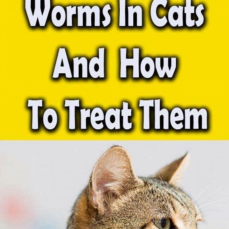 how-do-you-treat-worms-in-cats-diy-seattle