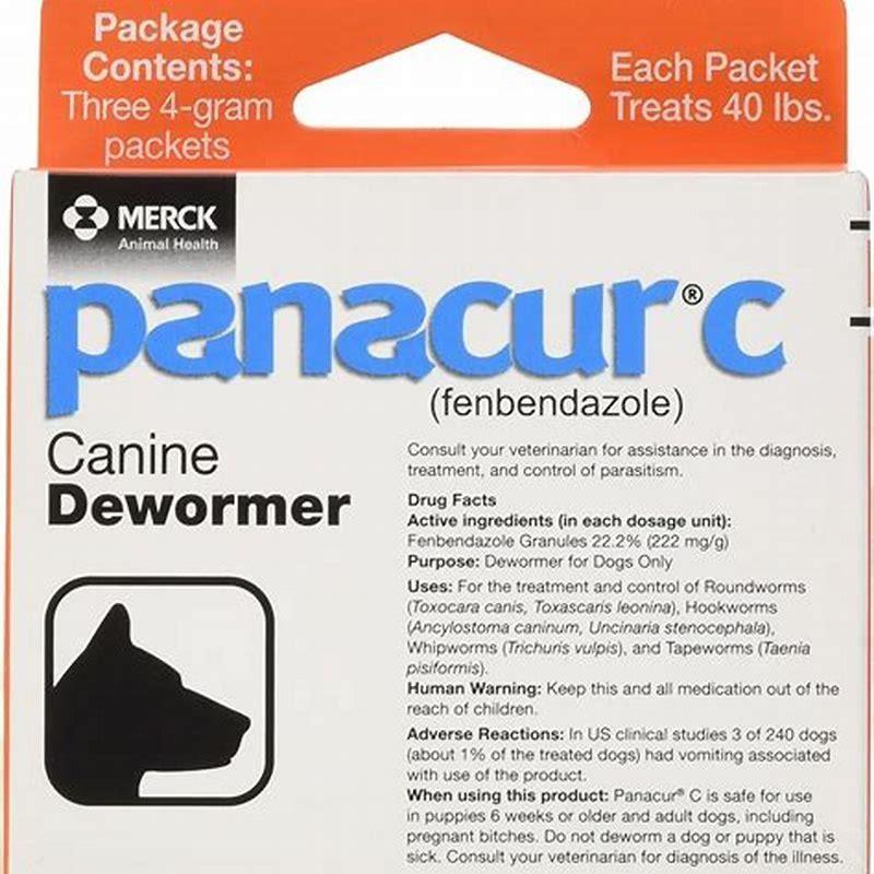 How often should Panacur be given to cats?