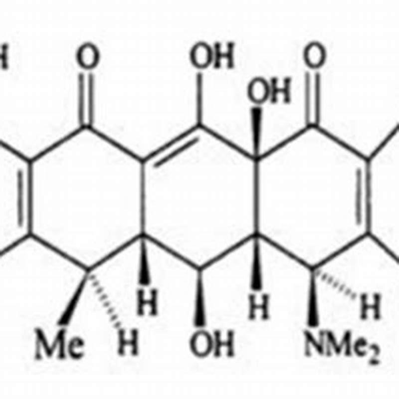 How quickly does doxycycline work for cats?