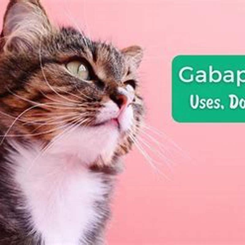 how does gabapentin work for cats
