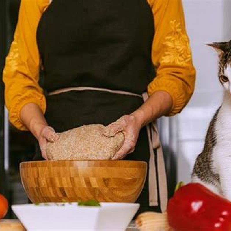 How should I cook chicken for my cat?
