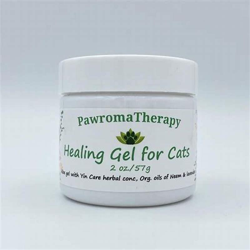 Is aloe vera gel safe for cats?