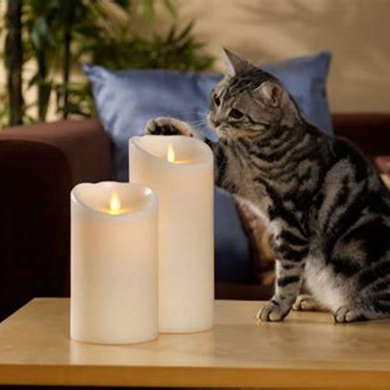 Is scented candle safe for cats?