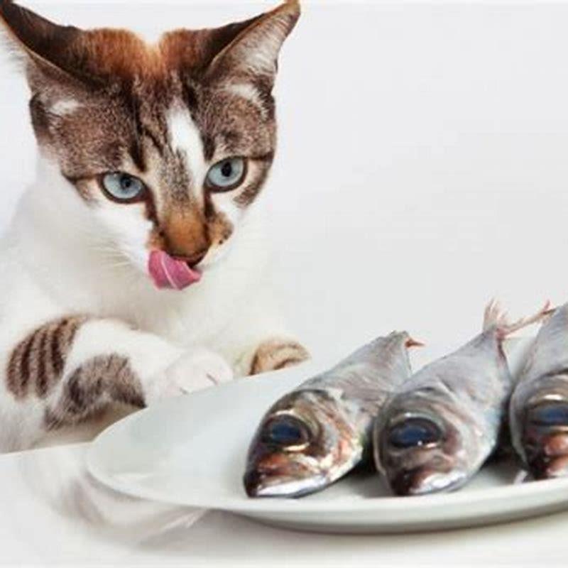 Is tuna addictive to cats? - DIY Seattle