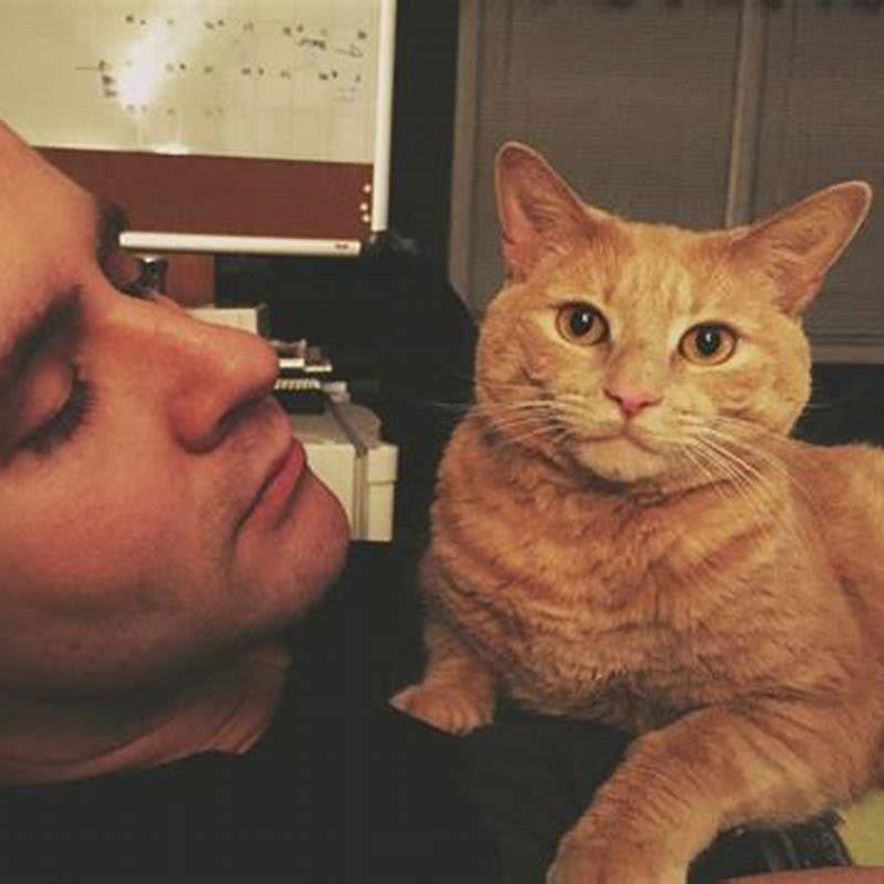 What are cats allergic to?