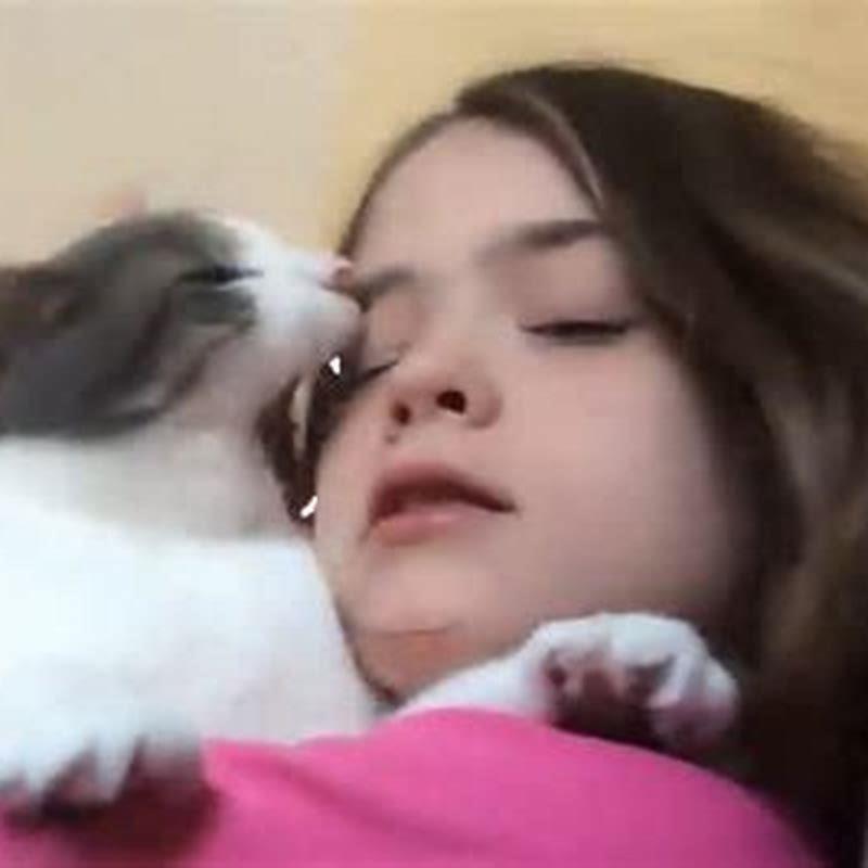 What are things cats like to watch?