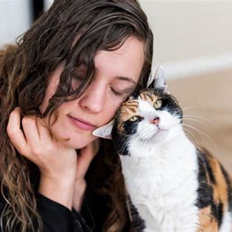 What does it mean when cats rub on your legs?